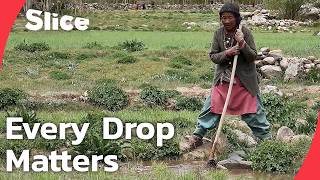 The Water Journey: How Villagers Irrigate Fields in The Himalayas | SLICE | FULL DOCUMENTARY