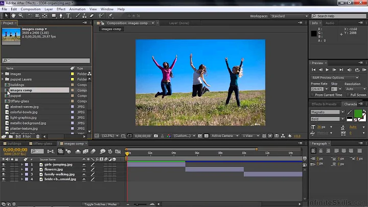 Adobe After Effects CC Tutorial | Organizing Assets In The Project Panel