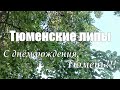 ТЮМЕНСКИЕ ЛИПЫ - Павел АНДРЕЕНКО на стихи Вячеслава ДЕВЯТКОВА, Тюмень 2023г.