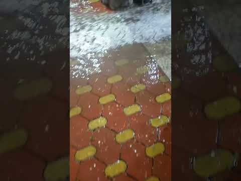 May 31 2025 Dayoftheweek Rooba Addattii