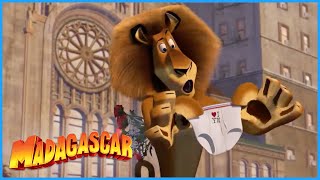 DreamWorks Madagascar | A Day In The Zoo | Madagascar Movie Clip