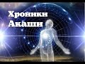 💢Крайон /  Акаши / Сознание/ Будущее / Высшее Я💢