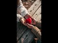حامد کی میدانه دلم آشوبه 