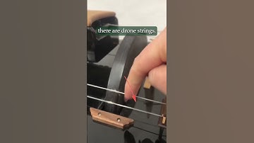 How to play the hurdy gurdy (P2)