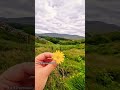 #reactionwithmyvlog #youtubeshorts #shortsviral