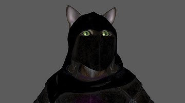 Proper Skinning on Updated Hooded Armor Set (indie game Kristala)