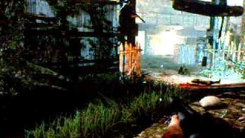 Shi No Numa glitch-On the flogger fence