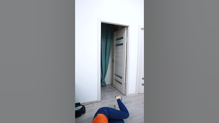 The yellow dog hid behind the door #shorts Milli Star