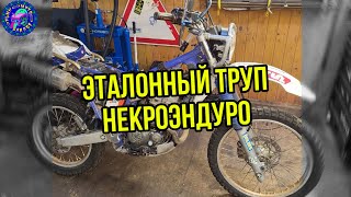 Yamaha TTR 250 НЕДОСТОЙНАЯ ДАЖЕ МУСОРКИ