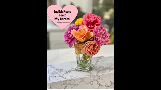David Austin Roses From My Garden Fragrant English Roses Cut Flowers Shirley Bovshow 