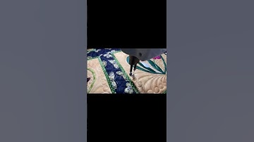 Custom Quilting Today!! #customquilting #handiquilter #freemotionquilting #appliquequilt