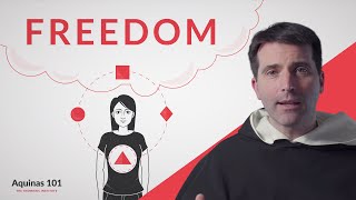 Freedom (Aquinas 101) Resimi