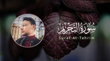 سورة التحريم كاملة القارئ طارق محمد | Surat At-Tahrim