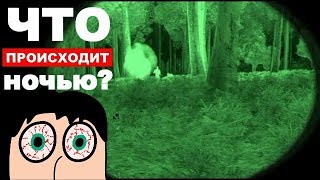 ЧТО ПРОИЗОШЛО НОЧЬЮ - СО СПЯЩИМ ОРГАНИЗМОМ ! Слабопервым посмотреть?