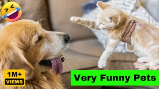 Cute Cats & Dogs Funniest Video  (VERY FUNNY)  | Funniest Animals