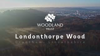 Londonthorpe Wood - Woodland Trust and The National Trust