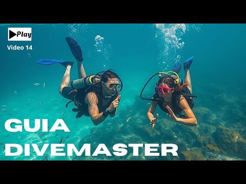 Procedimientos para una guiada de buceo segura y eficiente