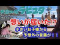 【ストリートピアノ】これぞ奇跡！”天空のピアノ”で、「君をのせて(天空の城ラピュタ)」を弾いていたら、私の想いが通じたのか、小さいお子様から予想外の言葉に感動！！