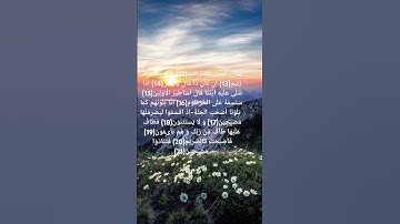 #مَّنَّاعٍ  لِّلۡخَیۡرِ مُعۡتَدٍ اَثِیۡمٍ ﴿ۙ۱۲﴾#سورة القلم. #surah al kalam💓🇸🇦#قران_كريم