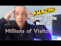 Amazing ORGANIC TRAFFIC websites | NICHE WEBSITES that will shock you!