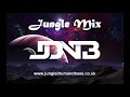 Jungle Mix - Feb 2020