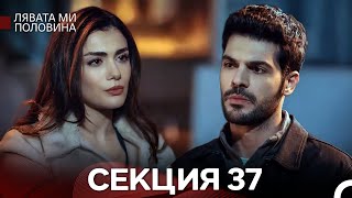 Лявата ми половина 37 Секция (Български Дублаж)