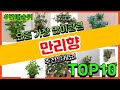 만리향 추천 판매순위 Top10 가격 평점 후기 비교 만리향 추천 판매순위 Top10 가격 평점 후기 비교