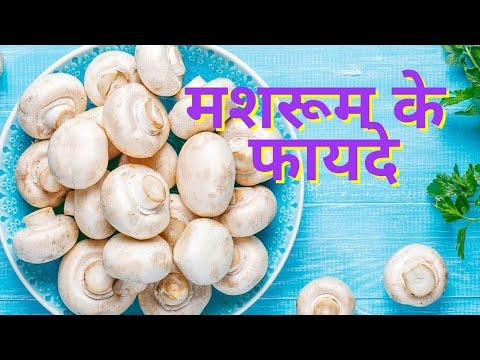 वीडियो: कोरल मशरूम - एक आहार और बहुत ही स्वस्थ व्यंजन