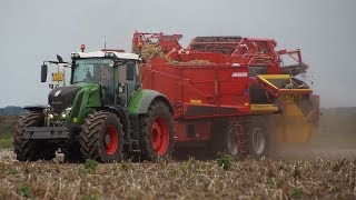 De Nieuwe Grimme EVO 290 TriSys met Fendt Vario 826 Profi Plus