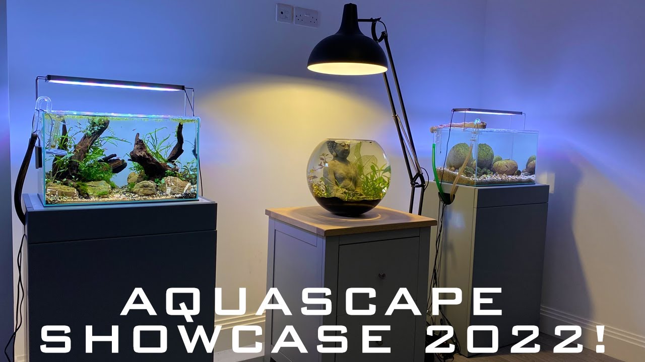 aquascape pond tour 2022