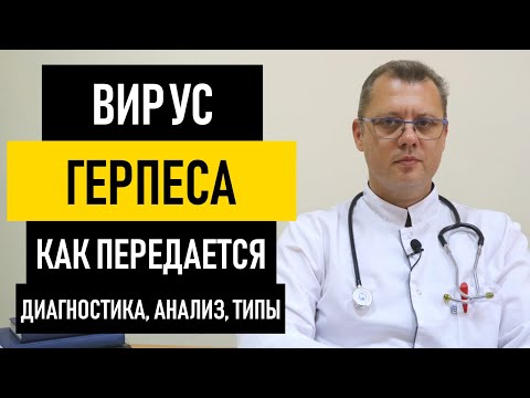 Вирус герпеса человека и его типы. Как передается герпес, диагностика и анализ