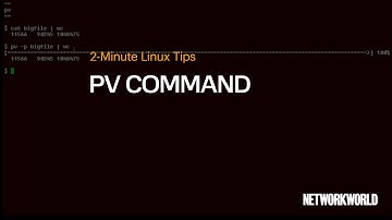 How to use the pv command