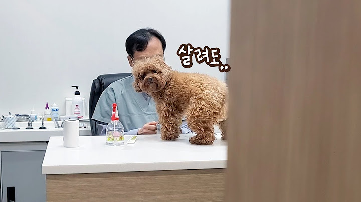 주사맞고 다리에 힘이 풀려버린 강아지ㅠㅠ