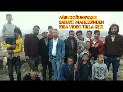 Ağrı doğubeyazıt sanayı mahlesinden laqirdiye kurdi 2019 komedi video bazid