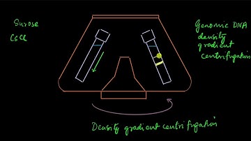 Satellite DNA | Molecular basis of inheritance | Biology | Khan Academy