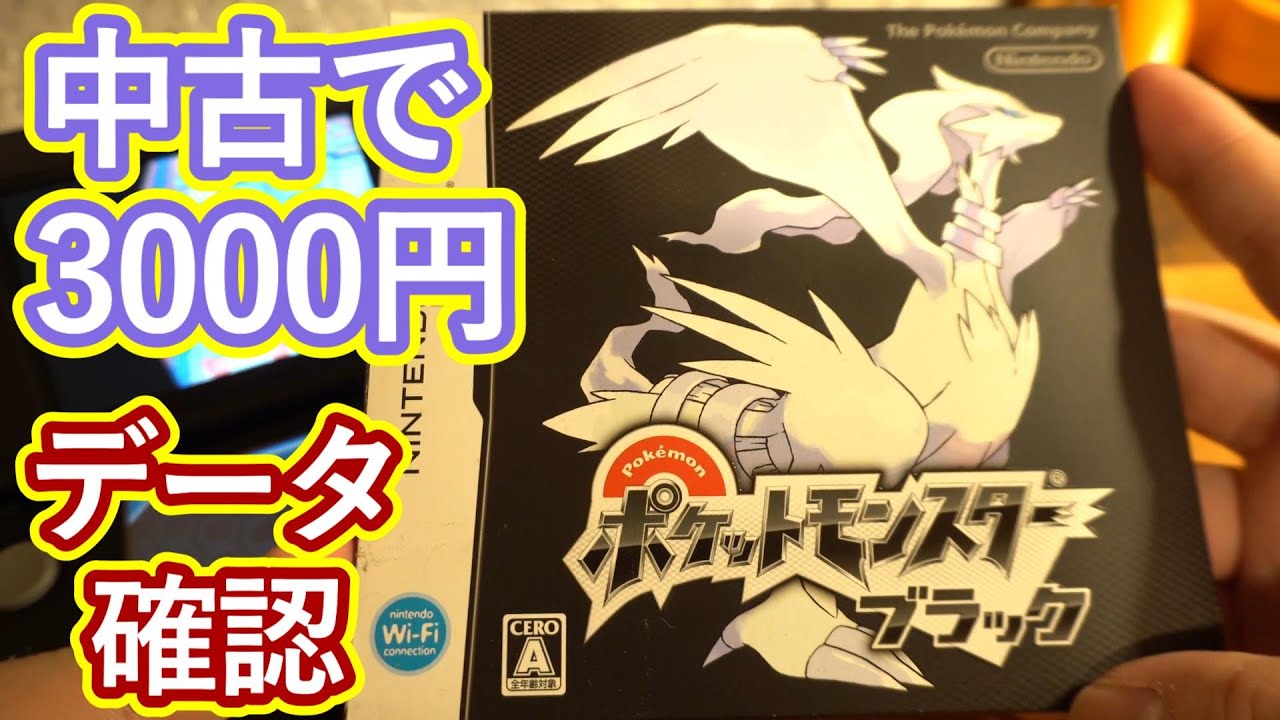 中古でポケットモンスターブラックを買ってきたのでデータを確認する