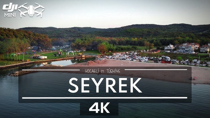 Тамаготчи ересектерге арналған эротикалық Тамаготчи Түсіндегі аналармен порно