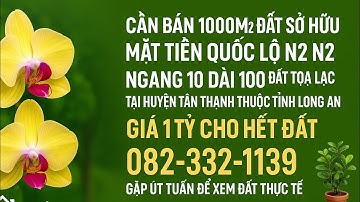 Bán 1000m2 Đất Mặt Tiền QL N2 – Giá 1 Tỷ | Sổ Hồng Riêng | Nhân Ninh, Tân Thạnh, Long An
