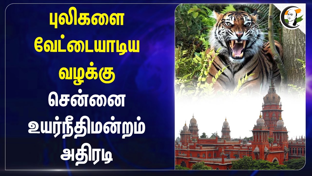 புலிகளை வேட்டையாடிய வழக்கு! Chennai High Court | Sathyamangalam | Tamilnadu