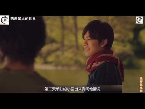 恋爱禁止的世界