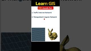 TIN stands for?,Triangular Irregular Network In GIS MCQ SHORTS in HINDI URDU