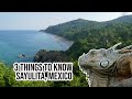 Vlog: Three interesting qualities of Sayulita, Mexico