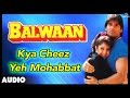 Balwaan  kya cheez yeh mohabbat full audio song  sunil shetty divya bharti 