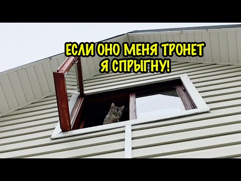 Видео: СТРАШНАЯ ТАЙНА РАСКРЫТА! КТО МЕНЯ ПРЕСЛЕДОВАЛ?