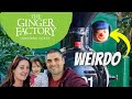 British Family Visit The Sunshine Coast | Alexandra Headland | The Ginger Factory