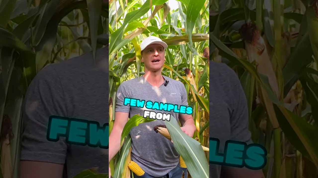 Farmer couldn't wait to show us what he's got.  