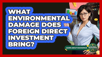 What Environmental Damage Does Foreign Direct Investment Bring? - Learn About Economics