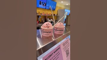 Jersey City Van Leeuwen Ice Cream #handmadelife