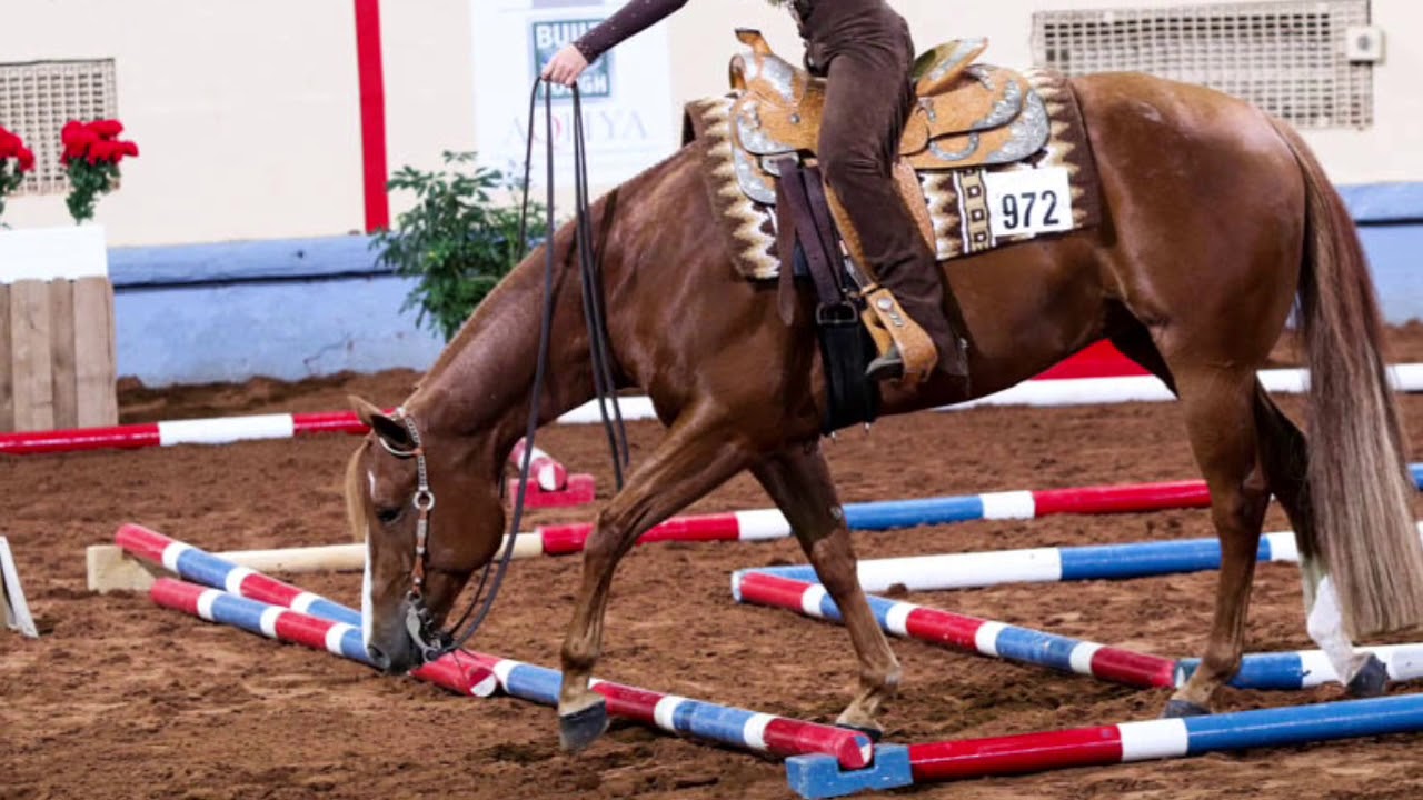 2018 Aqha Youth 13 And Under Trail Youtube