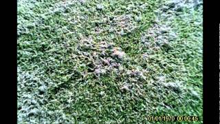 huck0818gl1.wmv
